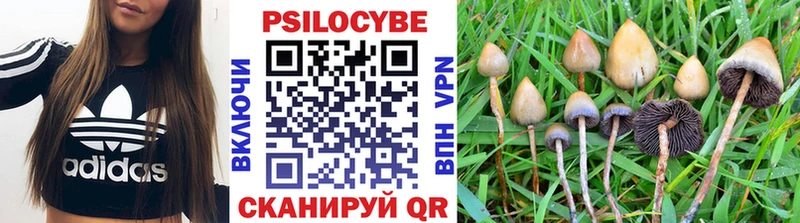 кракен зеркало Знаменск Галлюциногенные грибы Magic Shrooms